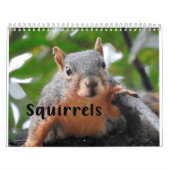 Squirrel Calendar 2022 Kalender (Hoes)