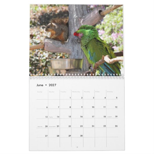 Squirrel Calendar 2022 Kalender (Jun 2027)