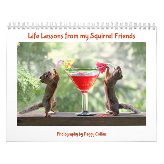 Squirrel Calendar - All New Life Lessons Kalender (Hoes)