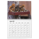 Squirrel Calendar Kalender (Jan 2027)