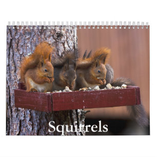 Squirrel Calendar Kalender