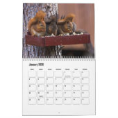 Squirrel Calendar Kalender (Jan 2026)