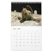 Squirrel Calendar Kalender (Mar 2026)