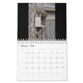 Squirrel Calendar Kalender (Feb 2026)