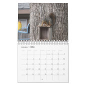 Squirrel Calendar Kalender (Jan 2026)