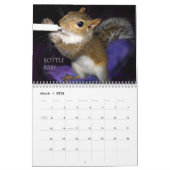 Squirrel Calendar Kalender (Mar 2026)