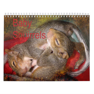 Squirrel Calendar Kalender