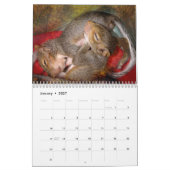 Squirrel Calendar Kalender (Jan 2027)