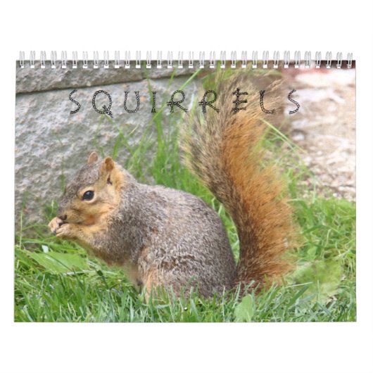 Squirrel Calendar Kalender (Hoes)