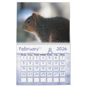 Squirrel Calendar Kalender (Feb 2026)