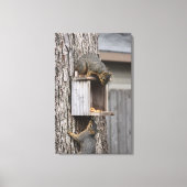 Squirrel Canvas Afdrukken (Voorkant)