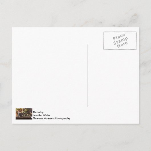 Squirrel Chow Time Briefkaart (Achterkant)