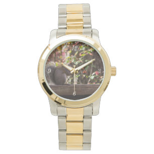 Squirrel Chow Time Horloge