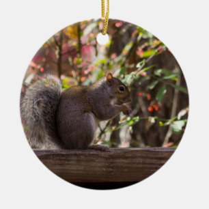 Squirrel Chow Time Keramisch Ornament