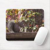 Squirrel Chow Time Muismat (Met muis)