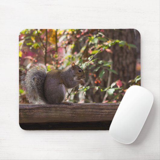 Squirrel Chow Time Muismat (Met muis)