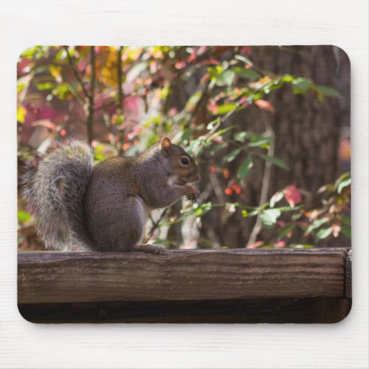 Squirrel Chow Time Muismat (Voorkant)