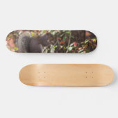 Squirrel Chow Time Skateboard (Horizontaal)