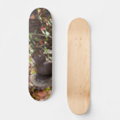 Squirrel Chow Time Skateboard (Voorkant)