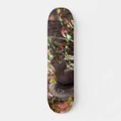 Squirrel Chow Time Skateboard (Voorkant)