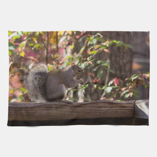 Squirrel Chow Time Theedoek (Horizontaal)