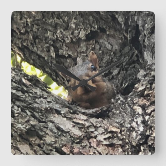 Squirrel Clock Vierkante Klok (Voorkant)