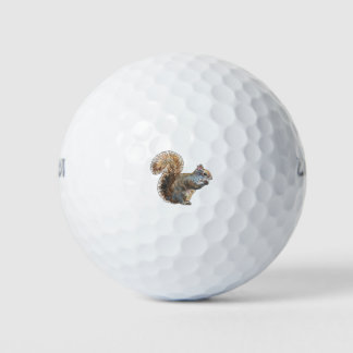 Squirrel Cutie Golfballen