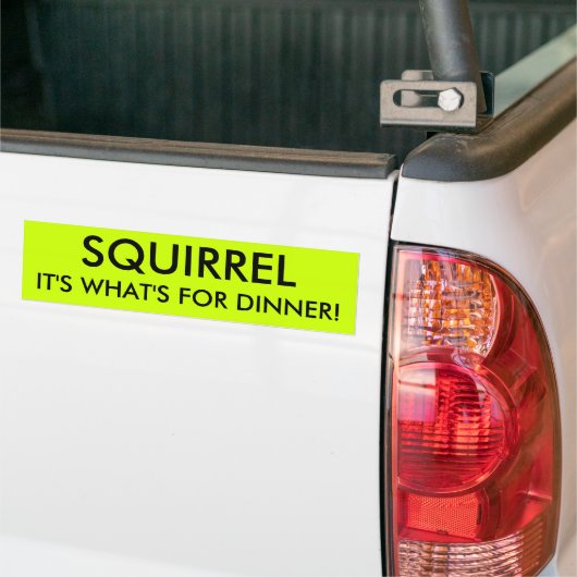 SQUIRREL, DAT IS WAT ER VOOR DINER IS! BUMPERSTICKER (Op Truck)