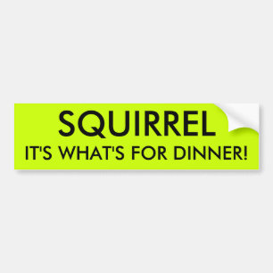 SQUIRREL, DAT IS WAT ER VOOR DINER IS! BUMPERSTICKER