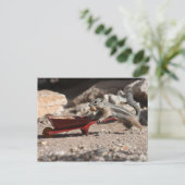 Squirrel Farmer Briefkaart (Staand voorkant)