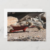 Squirrel Farmer Briefkaart (Voorkant / Achterkant)