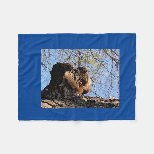 Squirrel Fleece Blanket (Voorkant (Horizontaal))