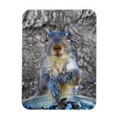 Squirrel Flexi magnet 3 x 4 Magneet (Verticaal)