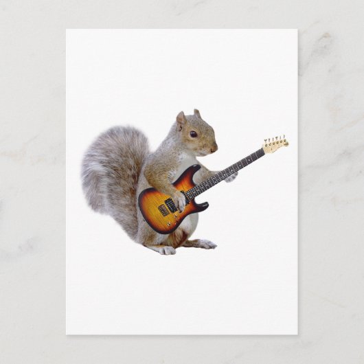 Squirrel Guitar Briefkaart (Voorkant)
