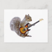 Squirrel Guitar Briefkaart (Voorkant)