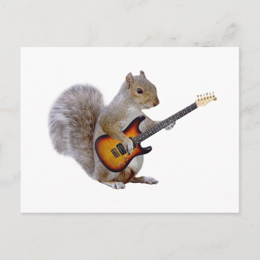 Squirrel Guitar Briefkaart (Voorkant)