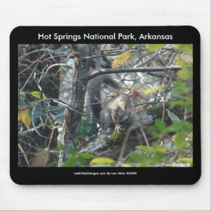 Squirrel Hot Springs Nat'l Park Mt., AR Piek Trail Muismat