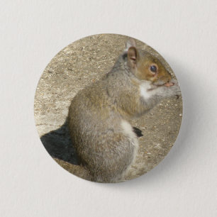 Squirrel Hungry Horatio Button
