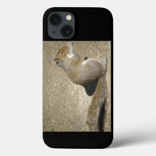 Squirrel Hungry Horatio iPhone 13 Hoesje