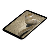 Squirrel Hungry Horatio Premium Magnet Magneet (Linkerzijde)