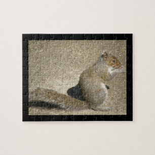 Squirrel Hungry Horatio Puzzle Legpuzzel