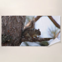 Squirrel in a Pine Tree Beach Towel