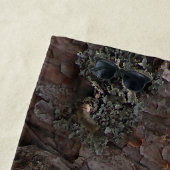 Squirrel in a Pine Tree Beach Towel Strandlaken (In situ)