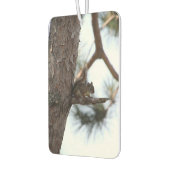 Squirrel in a Pine Tree Luchtverfrisser (Links)