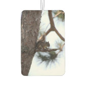 Squirrel in a Pine Tree Luchtverfrisser (Achterkant)