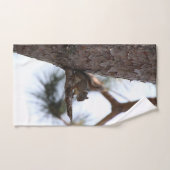 Squirrel in a Pine Tree Towel Set Bad Handdoek (Handdoek)