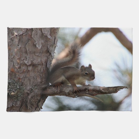 Squirrel in a Pine Tree Towel Theedoek (Horizontaal)
