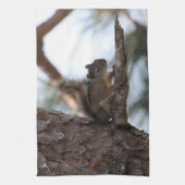 Squirrel in a Pine Tree Towel Theedoek (Verticaal)
