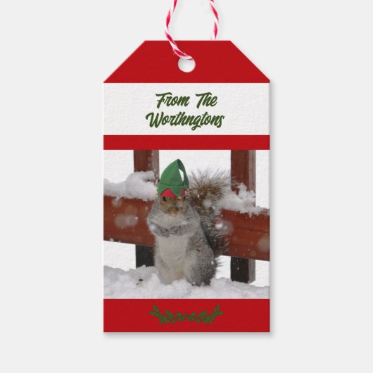 Squirrel in Green Hat Snowy Red and White Cadeaulabel (Voorkant)