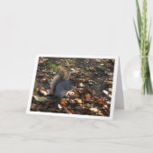 Squirrel in Leaves Kaart (Voorkant)